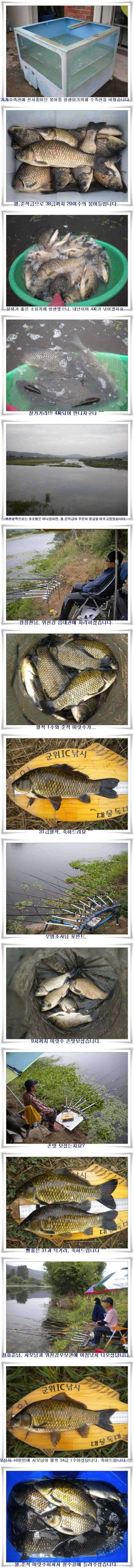 소류지 상황과 위천강 조황 (조황조행기 - 특파원조황)
