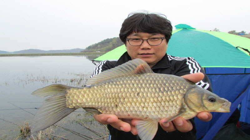 4월3째주 조황입니다 (조황조행기 - 특파원조황)