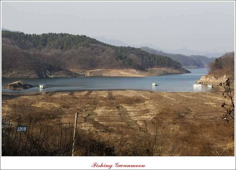 충주괴산권 조황 (조황조행기 - 특파원조황)