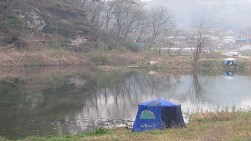 4월3째주 조황입니다 (조황조행기 - 특파원조황)