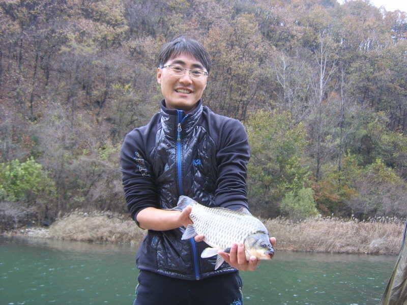 충주호 덕곡리 4짜 대물붕어와 마릿수 (조황조행기 - 특파원조황)