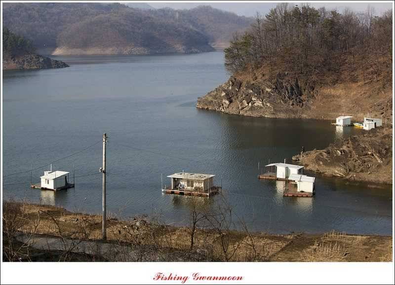 충주괴산권 조황 (조황조행기 - 특파원조황)