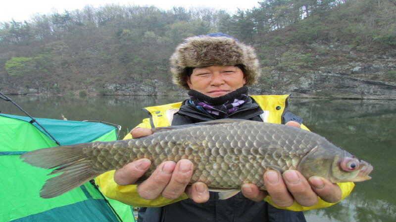 4월3째주 조황입니다 (조황조행기 - 특파원조황)