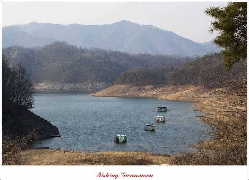 충주괴산권 조황 (조황조행기 - 특파원조황)
