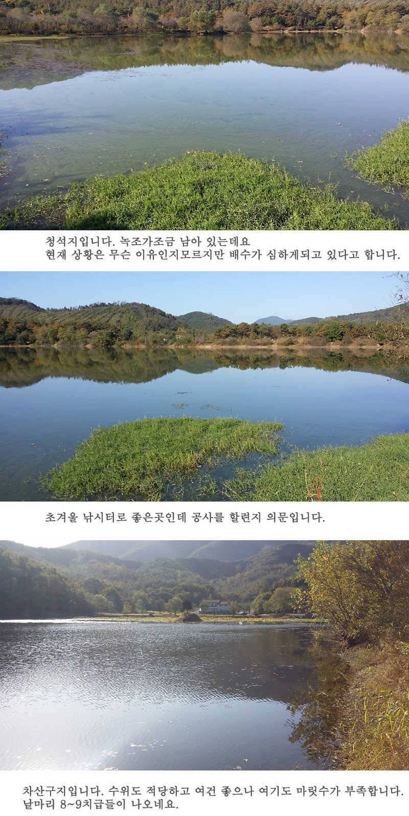 청도권46cm 조황이 살아나고 있습니다 (조황조행기 - 특파원조황)