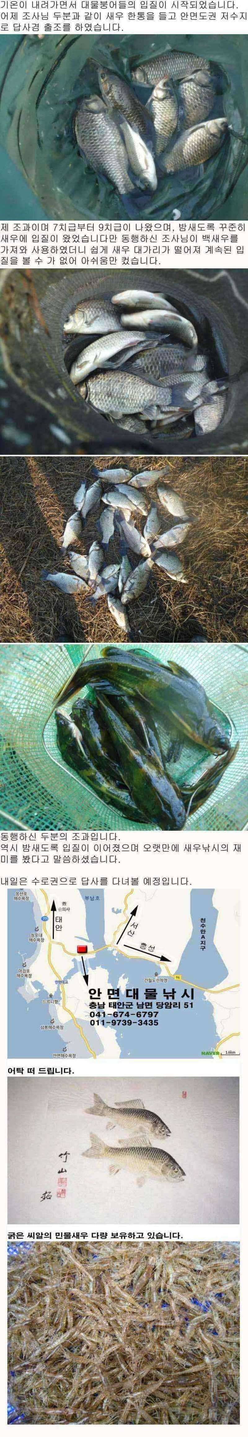 안면도권 저수지 답사 출조 조황 (조황조행기 - 특파원조황)
