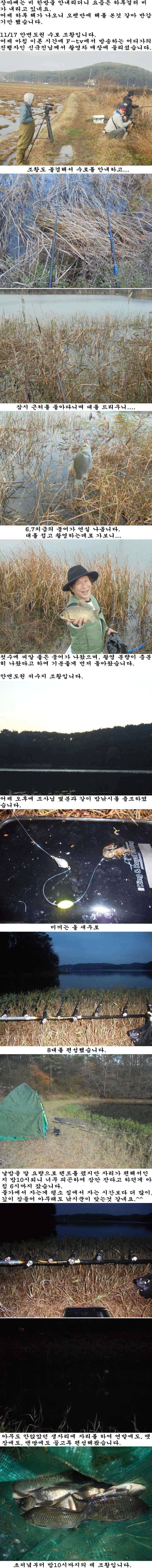 1118 안면도권 저수지 및 수로 밤낚시 조황 (조황조행기 - 특파원조황)
