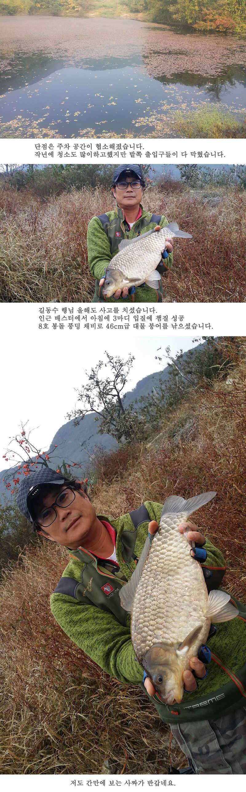 청도권46cm 조황이 살아나고 있습니다 (조황조행기 - 특파원조황)