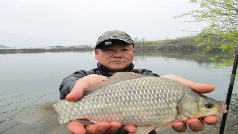 4월3째주 조황입니다 (조황조행기 - 특파원조황)
