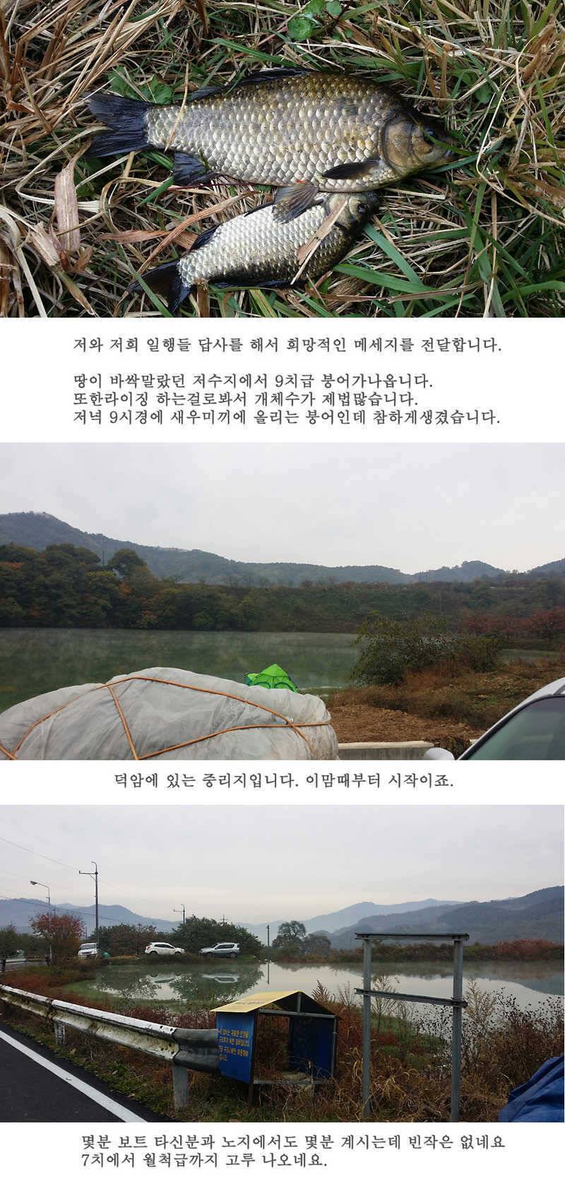 청도권46cm 조황이 살아나고 있습니다 (조황조행기 - 특파원조황)
