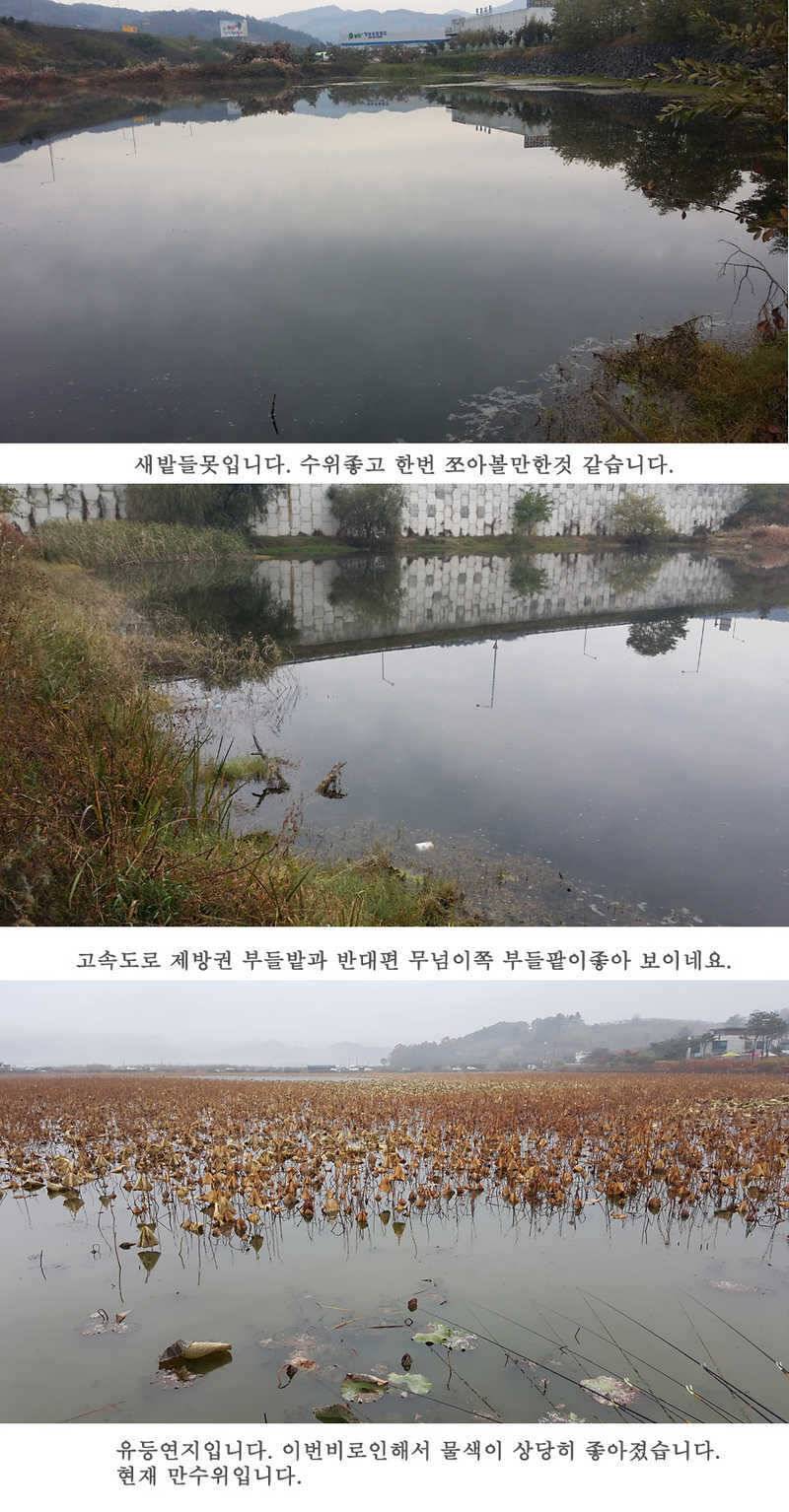 청도권46cm 조황이 살아나고 있습니다 (조황조행기 - 특파원조황)