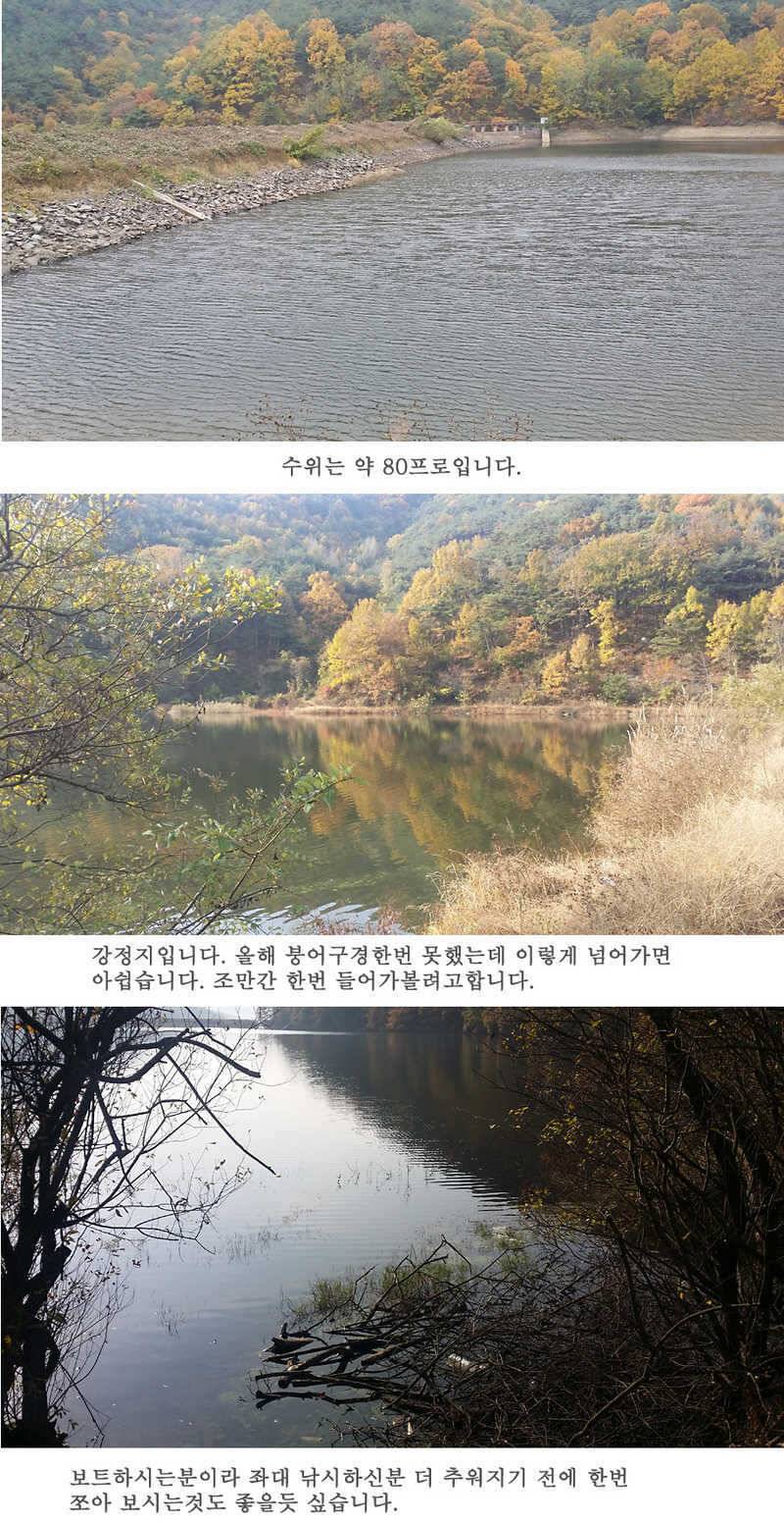 청도권46cm 조황이 살아나고 있습니다 (조황조행기 - 특파원조황)