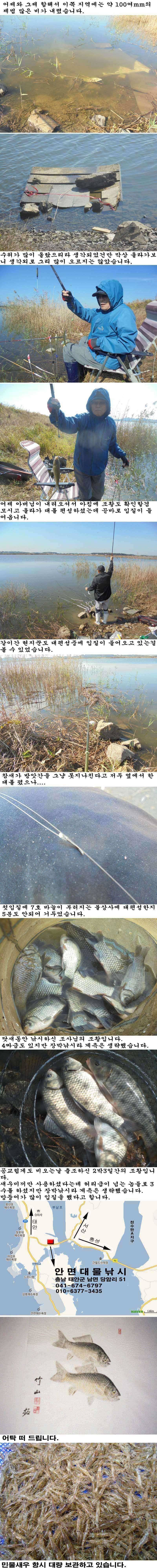 1022 부남호 비온뒤의 수위 및 조황 (조황조행기 - 특파원조황)
