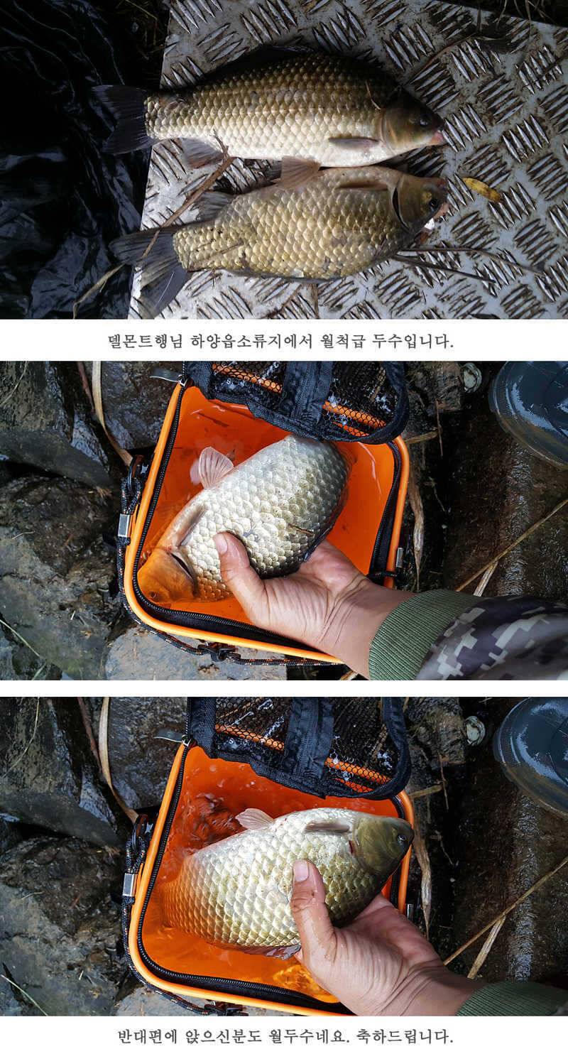 청도권46cm 조황이 살아나고 있습니다 (조황조행기 - 특파원조황)