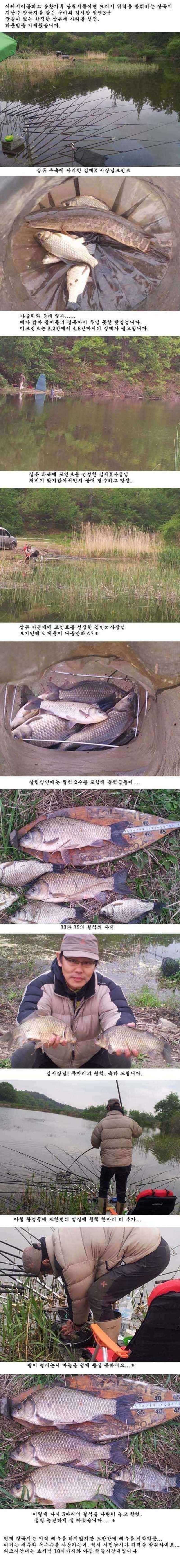 장곡지 지난주 조황 (조황조행기 - 특파원조황)