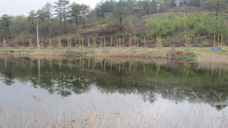 4월3째주 조황입니다 (조황조행기 - 특파원조황)