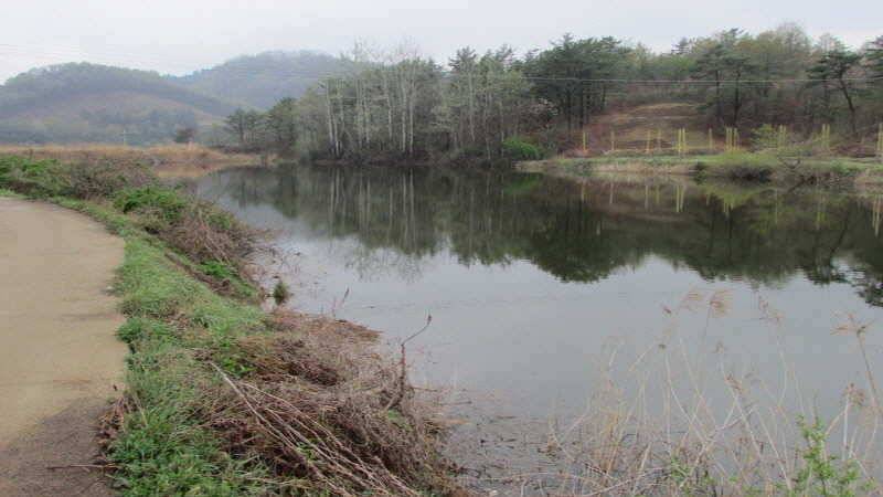 4월3째주 조황입니다 (조황조행기 - 특파원조황)
