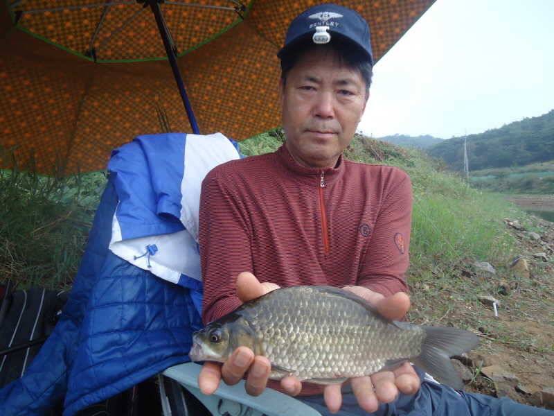 928 안면도권 저수지 주중 조황 (조황조행기 - 특파원조황)