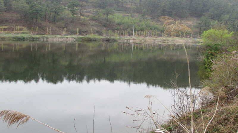 4월3째주 조황입니다 (조황조행기 - 특파원조황)