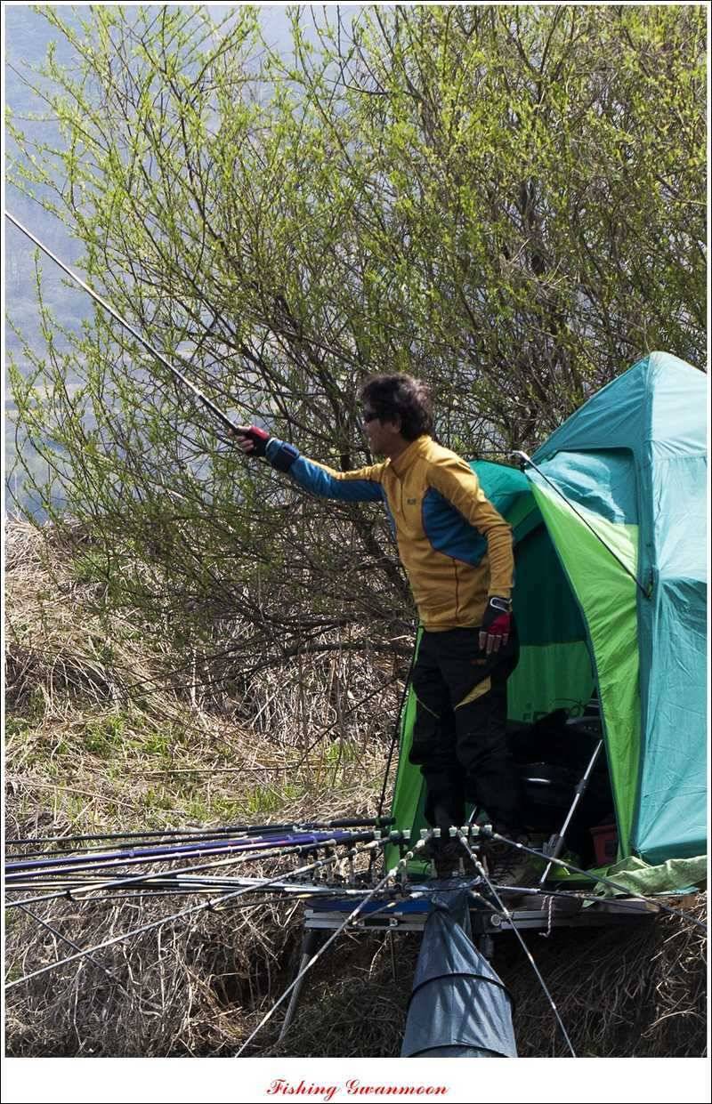 충주권 노지화곡지칠성지 조황 (조황조행기 - 특파원조황)