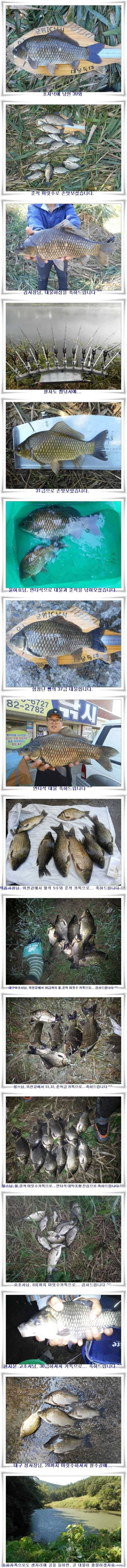 살아나는 위천강 초가을조황 (조황조행기 - 특파원조황)