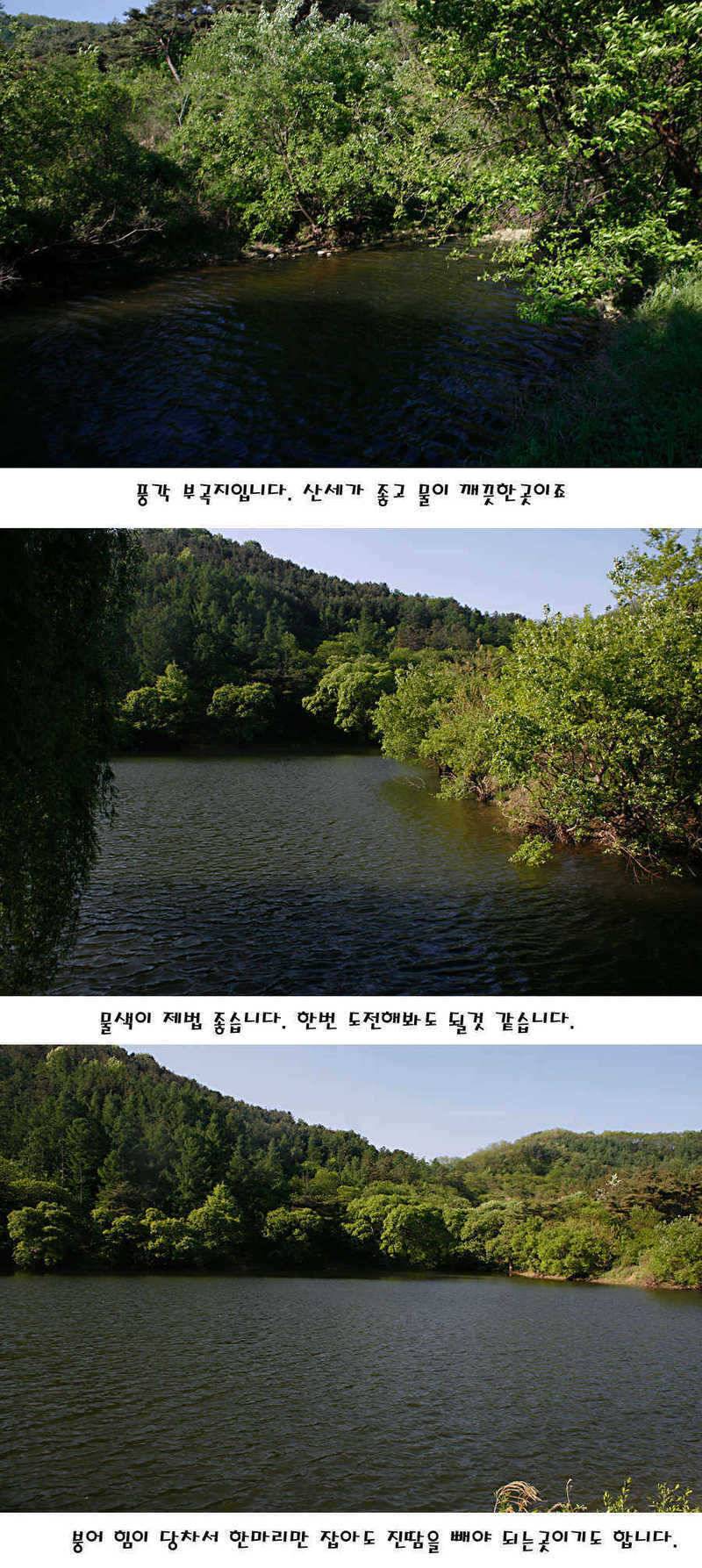 청도권 마릿수 대물 사짜 (조황조행기 - 특파원조황)