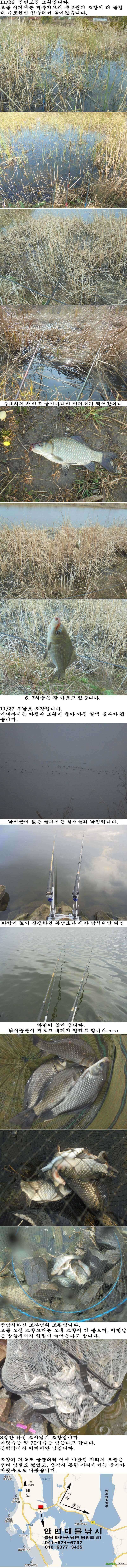 112627 안면도권 수로 및 부남호 조황 (조황조행기 - 특파원조황)