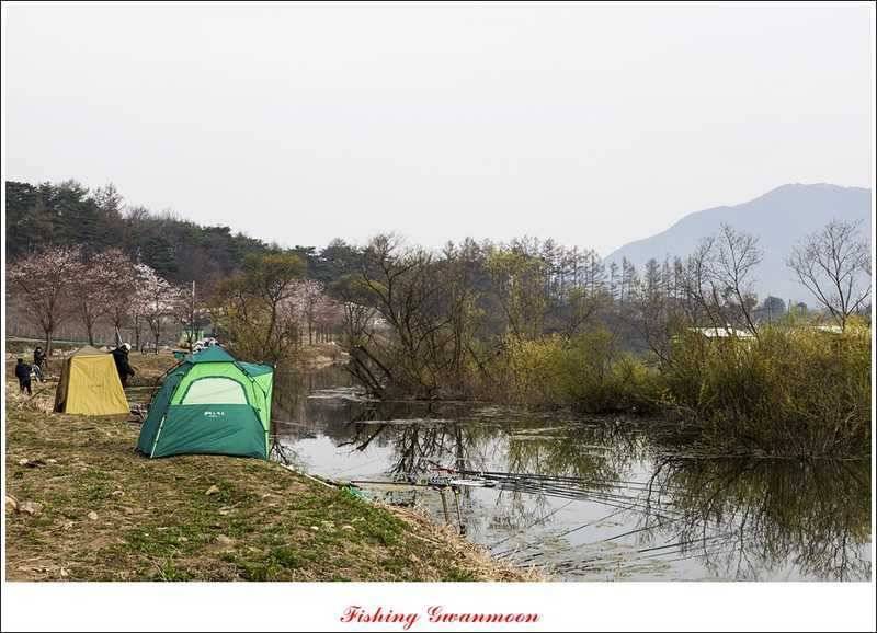 충주권 노지화곡지칠성지 조황 (조황조행기 - 특파원조황)