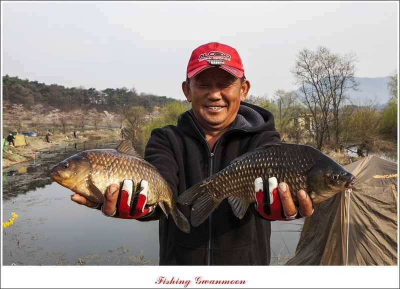 충주권 노지화곡지칠성지 조황 (조황조행기 - 특파원조황)