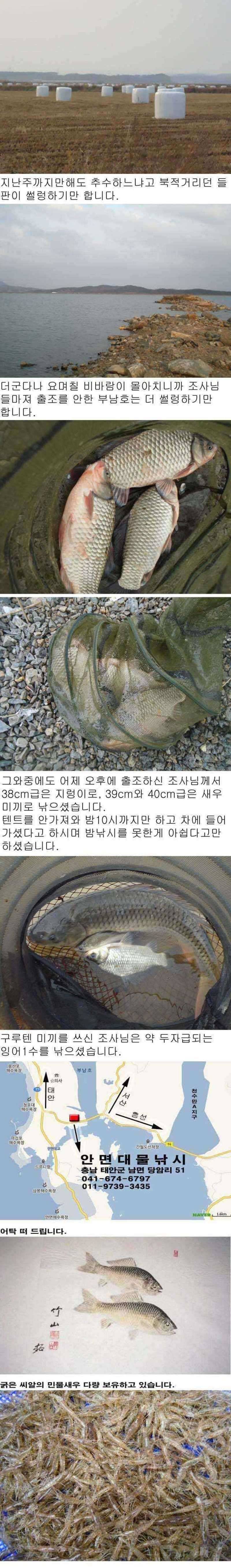 1107 부남호 주중 조황 (조황조행기 - 특파원조황)