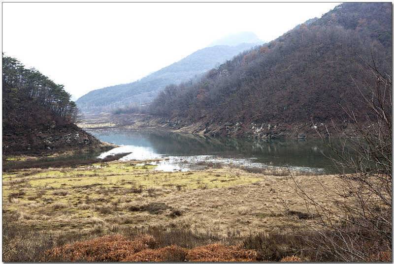 실리곡 사짜 대물 (조황조행기 - 특파원조황)