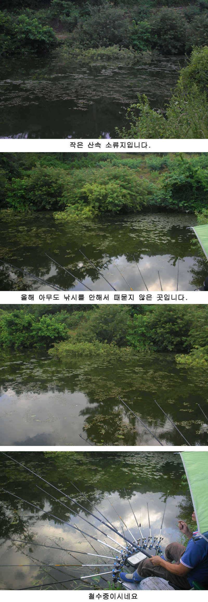 청도권 주중 조황정보 (조황조행기 - 특파원조황)