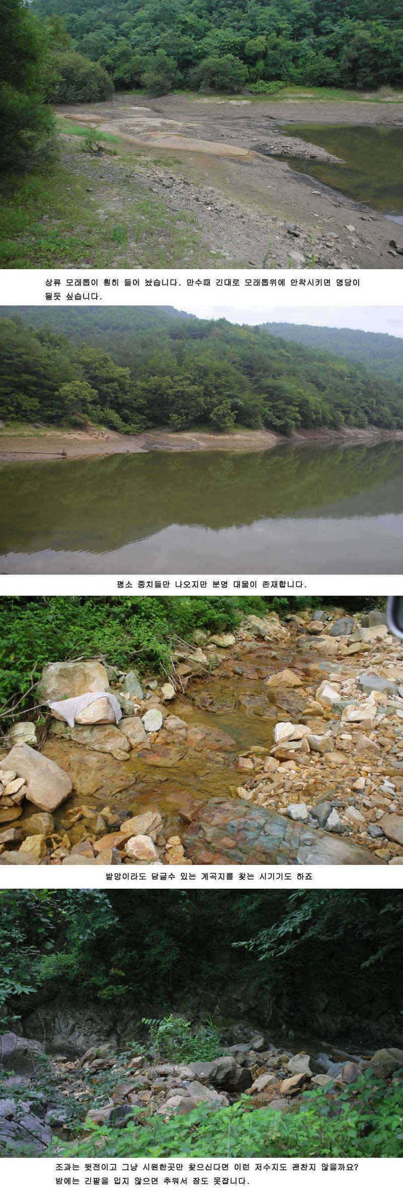 청도권 주중 조황정보 (조황조행기 - 특파원조황)