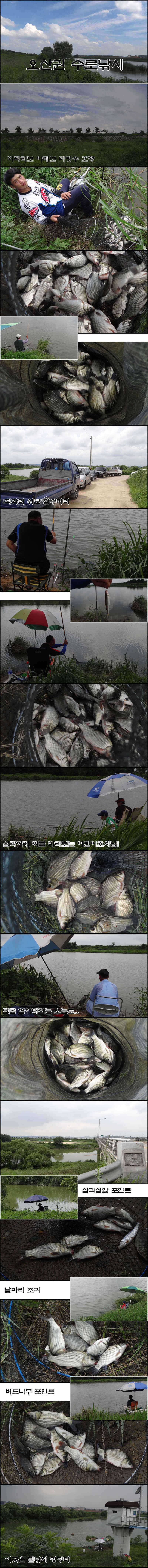 태풍속 월척과 마릿수 대박 (조황조행기 - 특파원조황)