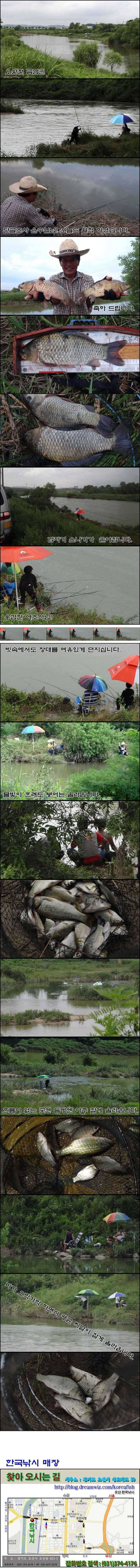 태풍속 월척과 마릿수 대박 (조황조행기 - 특파원조황)