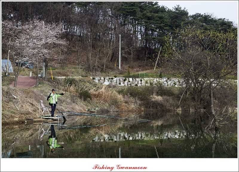 충주권 노지화곡지칠성지 조황 (조황조행기 - 특파원조황)
