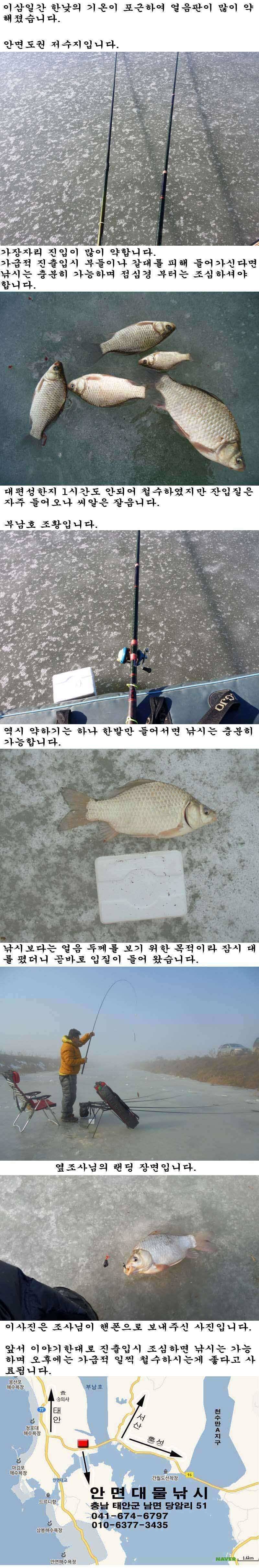 1226 안면도권 저수지 및 부남호 얼음낚시 조황 (조황조행기 - 특파원조황)