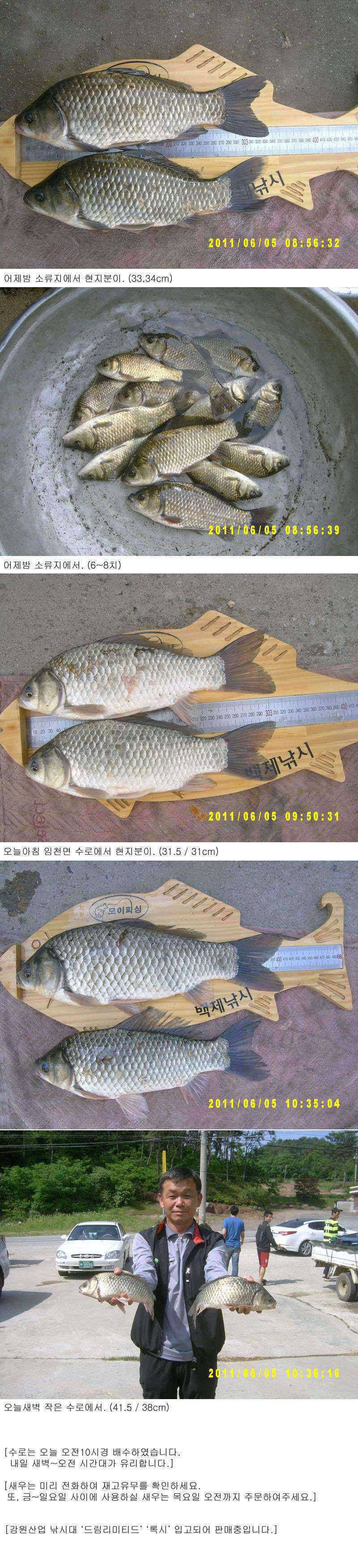 수로권4자 및 소류지 월척 (조황조행기 - 특파원조황)