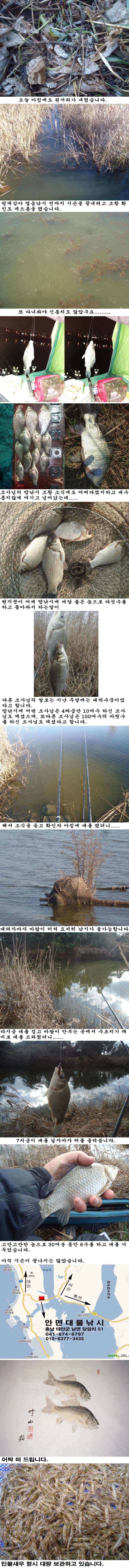 128 부남호 시즌이 아직 끝나지 않았습니다 (조황조행기 - 특파원조황)