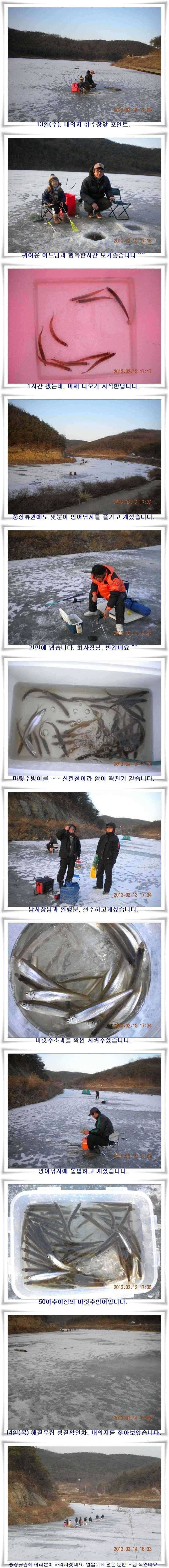 군위권 빙어낚시 (조황조행기 - 특파원조황)
