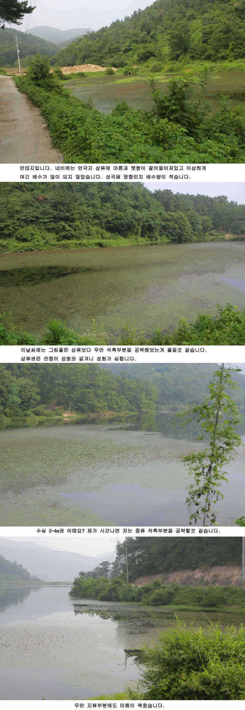 청도권 주중 조황정보 (조황조행기 - 특파원조황)