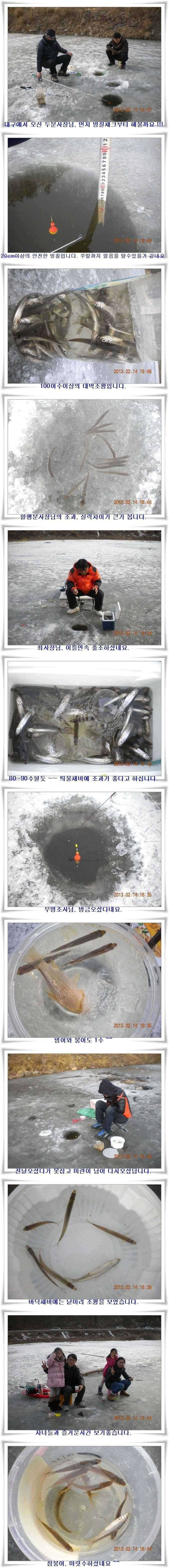 군위권 빙어낚시 (조황조행기 - 특파원조황)