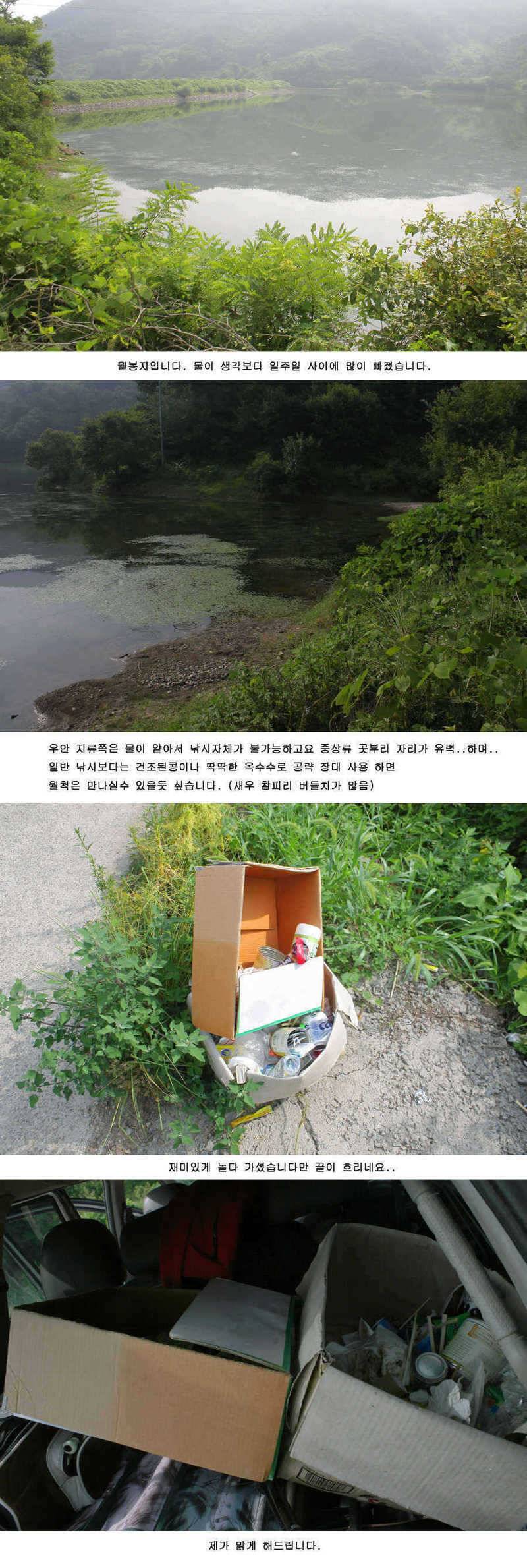 청도권 주중 조황정보 (조황조행기 - 특파원조황)