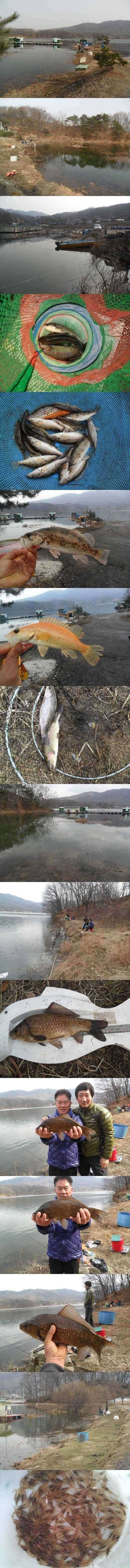 두창지 4짜에서 살짝 빠지는 대물 (조황조행기 - 특파원조황)