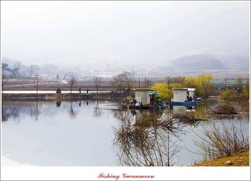충주권 노지화곡지칠성지 조황 (조황조행기 - 특파원조황)