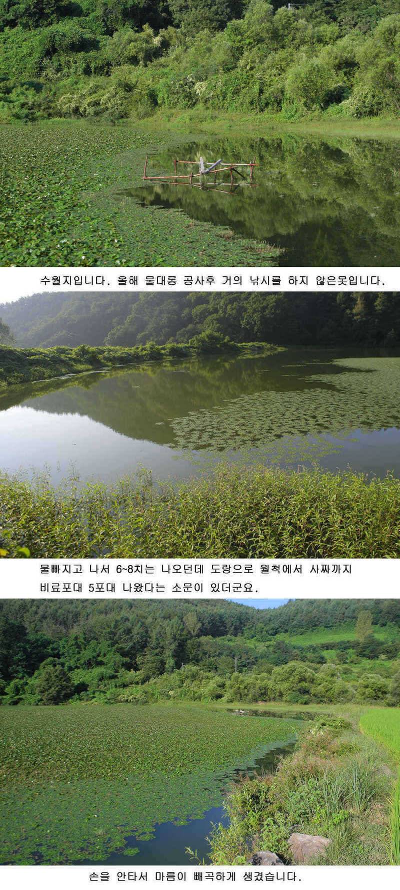 청도권 지난주중 주말 조황 (조황조행기 - 특파원조황)