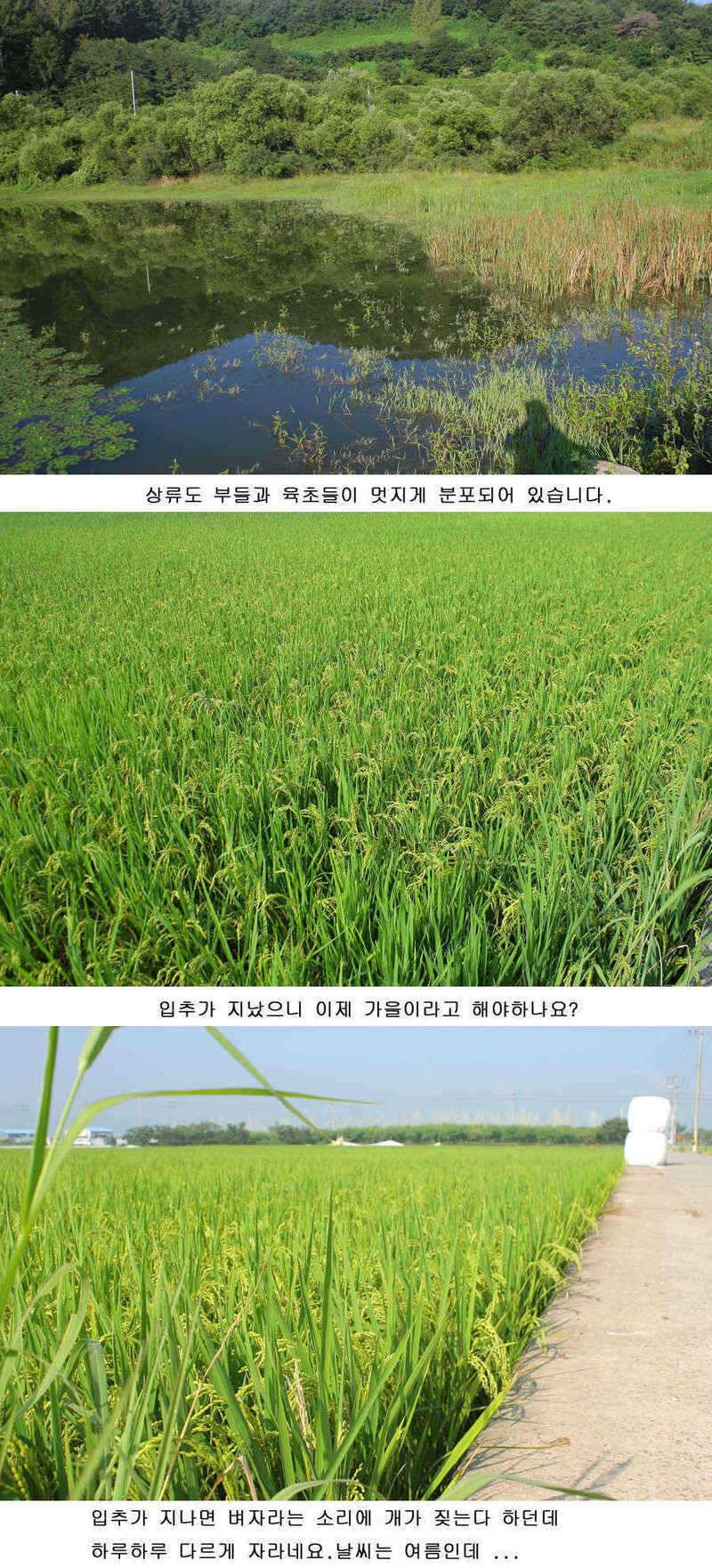 청도권 지난주중 주말 조황 (조황조행기 - 특파원조황)