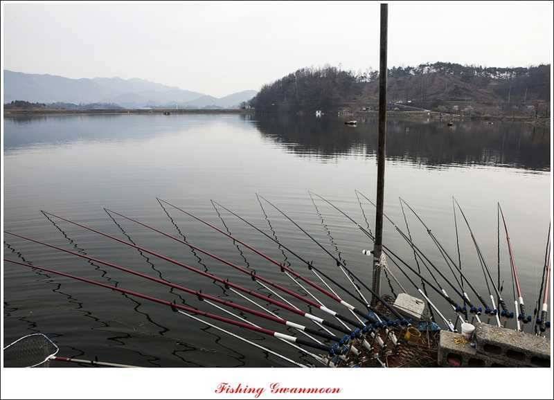 충주권 노지화곡지칠성지 조황 (조황조행기 - 특파원조황)