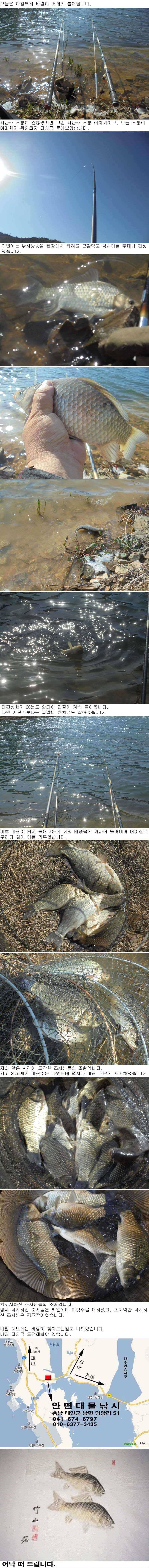 424 안면도권 저수지 태풍속의 조황 (조황조행기 - 특파원조황)