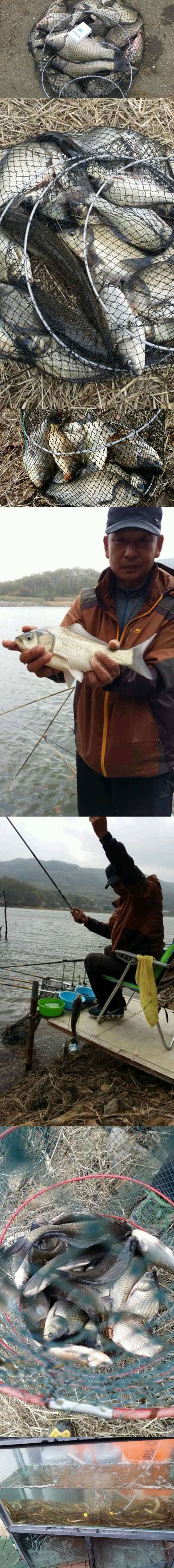 두창지 초보님들께 강추합니다 (조황조행기 - 특파원조황)